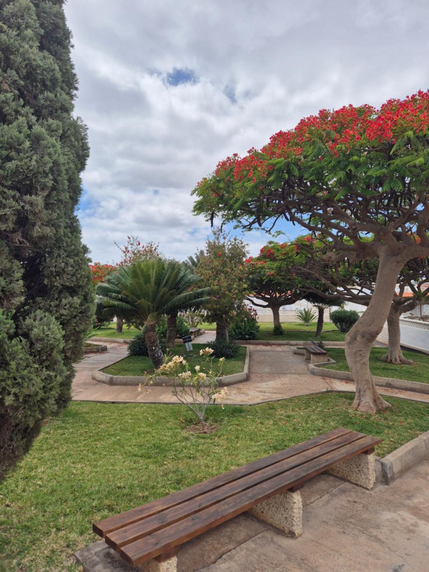 Bungalow Luna Privada Costa Del Silencio Bagian luar foto